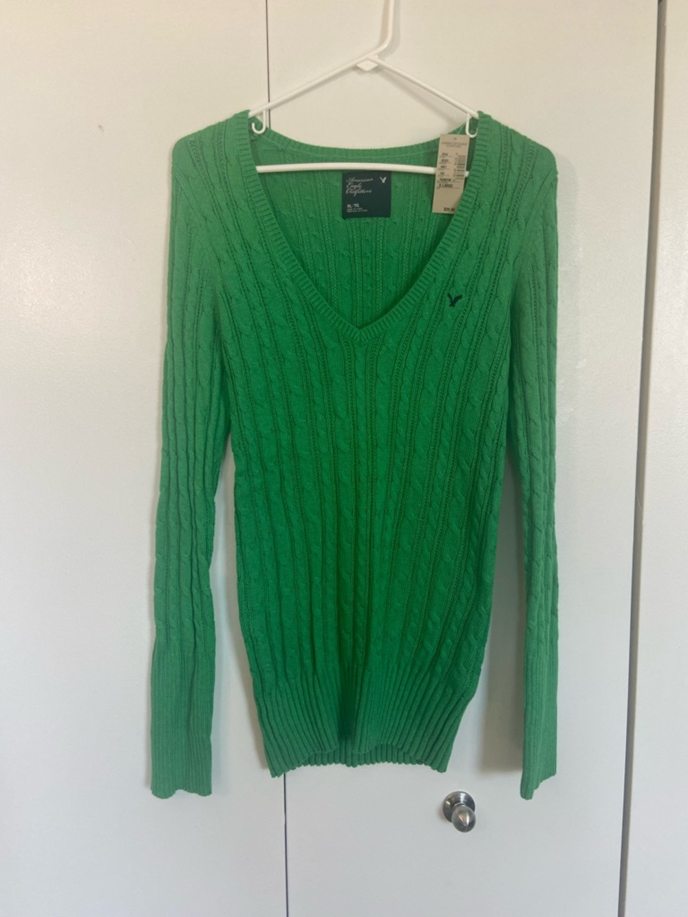New with tags — American Eagle Outfitters Green Cable Knit V-Neck Sweater